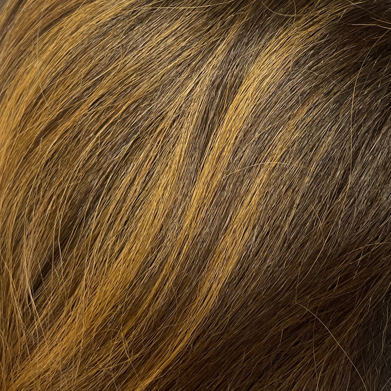 NATUR L LACE WIG MELTY 103