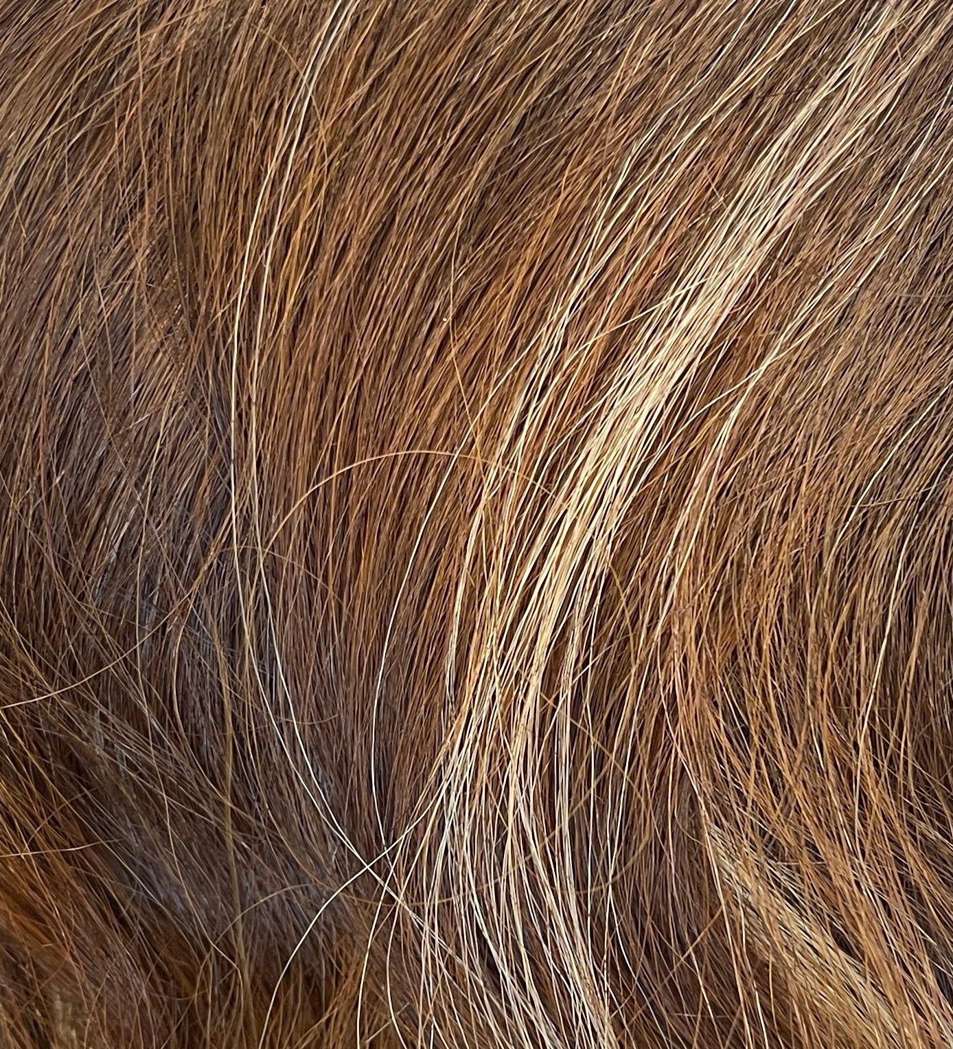 NATUR L LACE WIG TYLA 104