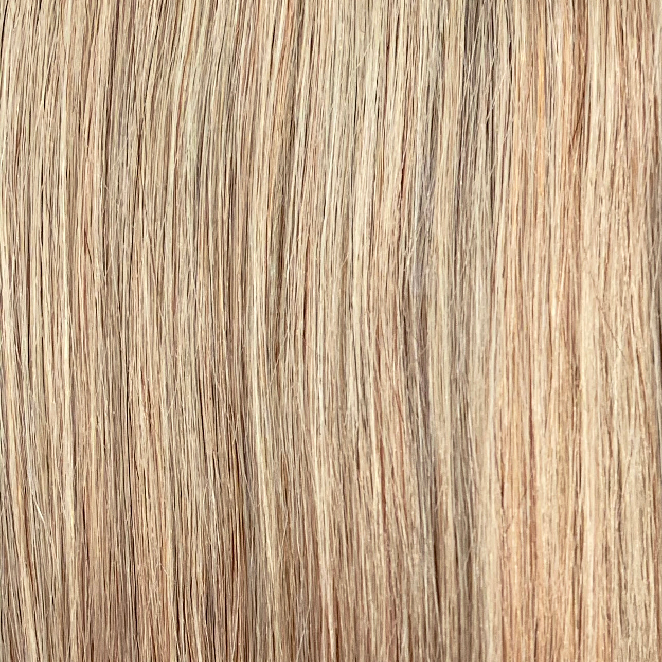 WIGLICIOUS FAKE SCALP 13X4 LACE WIG HONEY